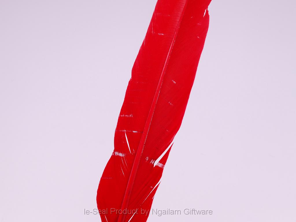 Feather color - Red.JPG